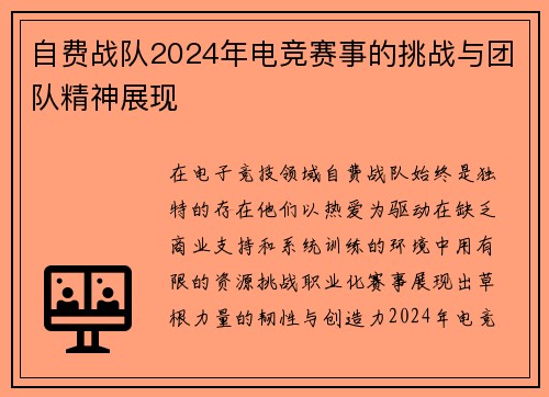 自费战队2024年电竞赛事的挑战与团队精神展现
